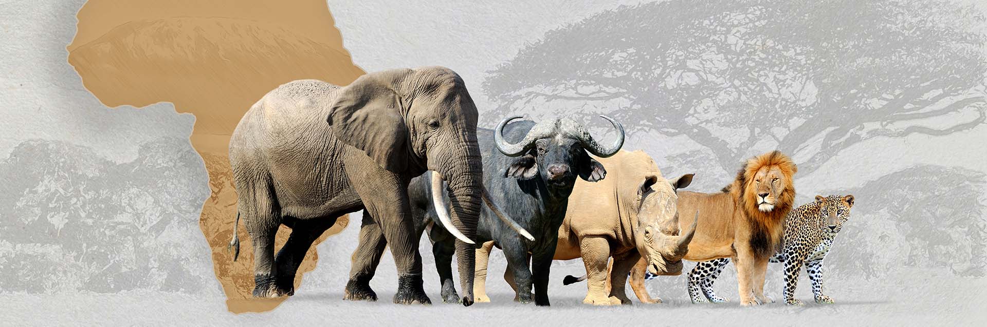 Big Five Origin