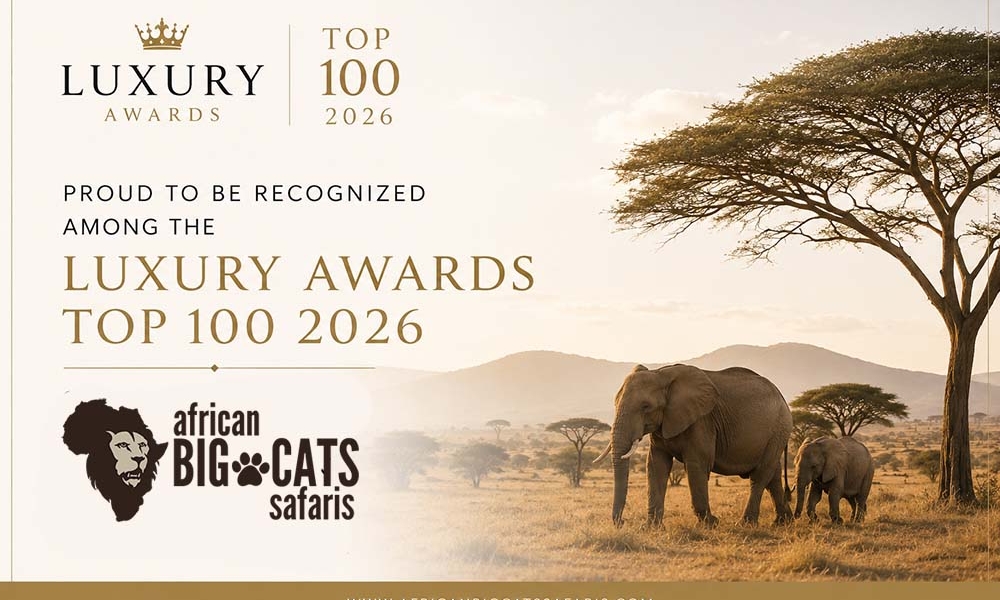 Luxury Awards Top 100